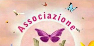 Associazione DoMino