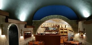 Blue Parrot Tes Mex Con Pizza