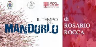 Il Tempo del Mandorlo