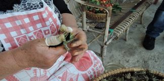 Carciofino selvatico