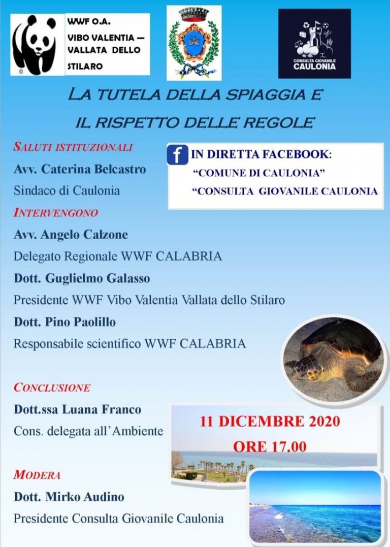 La Tutela della Spiaggia e il Rispetto delle Regole La Tutela della Spiaggia e il Rispetto delle Regole