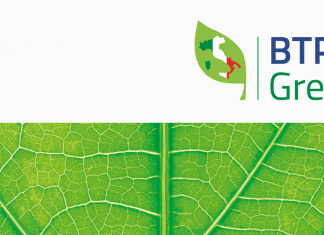 Btp Green, per un’Italia più sostenibile
