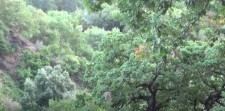 Cufò e Strano, villaggi di Castelvetere (Caulonia)