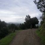 pedali_caulonia_41