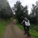 pedali_caulonia_42