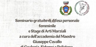Seminario Arti Marziali – Maestro Giuseppe Cavallo