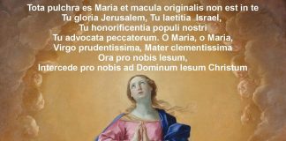 Immacolata Concezione di Maria Santissima – Caulonia M. e Crochi
