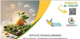Innovazione e Sostenibilità per il Futuro delle Produzioni Agrumicole – Seminario di Agrumicoltura 4.0