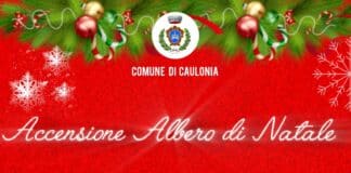 Accensione Albero di Natale 2024 – Piazza Mese