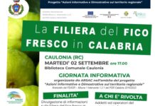 La Filiera del Fico Fresco in Calabria