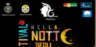 Festival nella Notte degli Artisti 2025 – VII Edizione